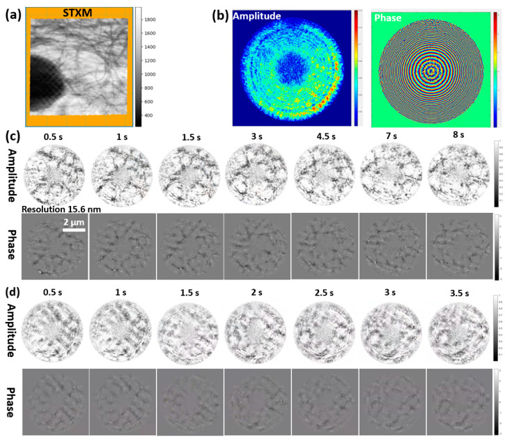 Figure 10