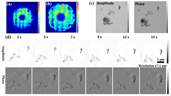 Figure 11
