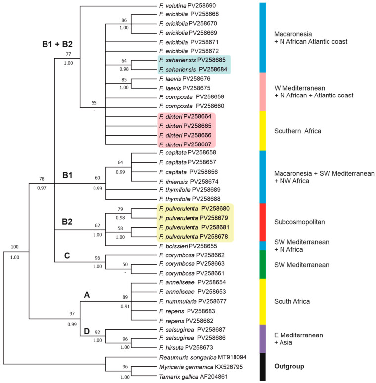 Figure 6