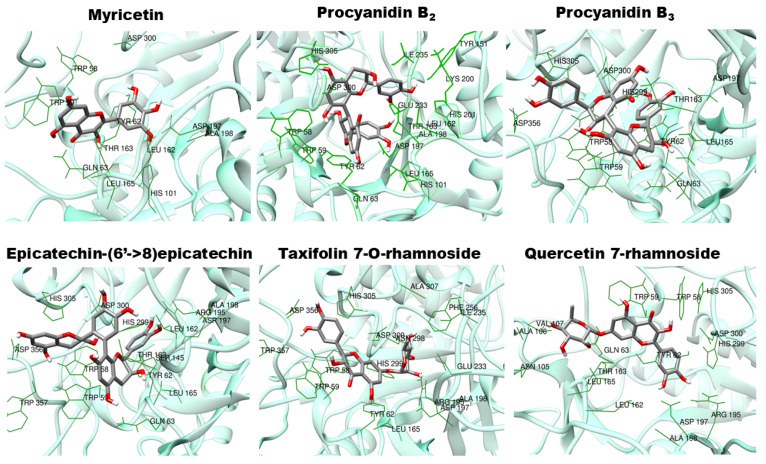 Figure 7