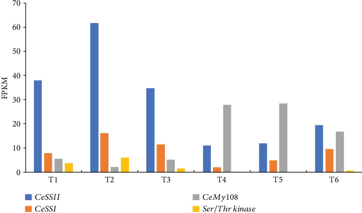 Figure 5