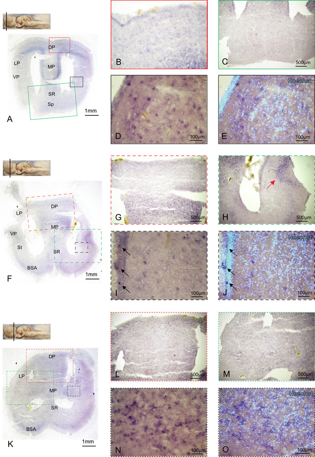 FIGURE 3
