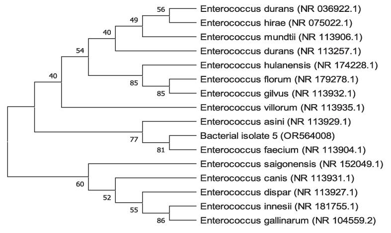 Figure 9
