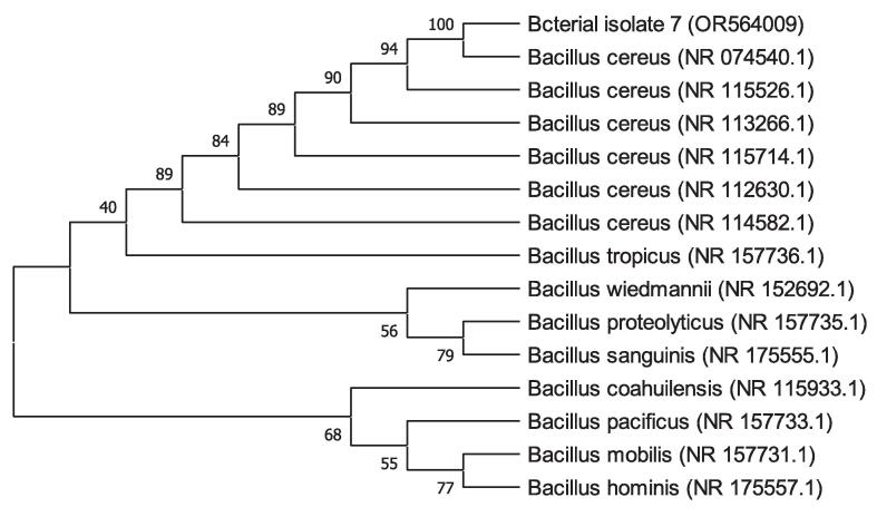 Figure 10