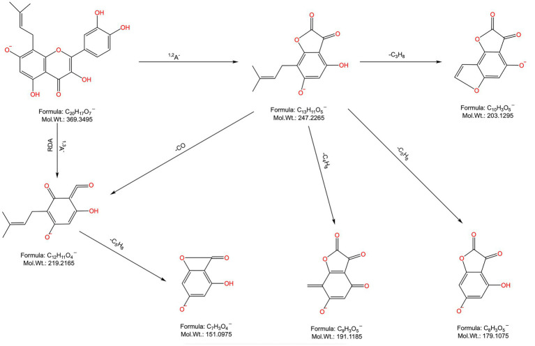 Figure 4