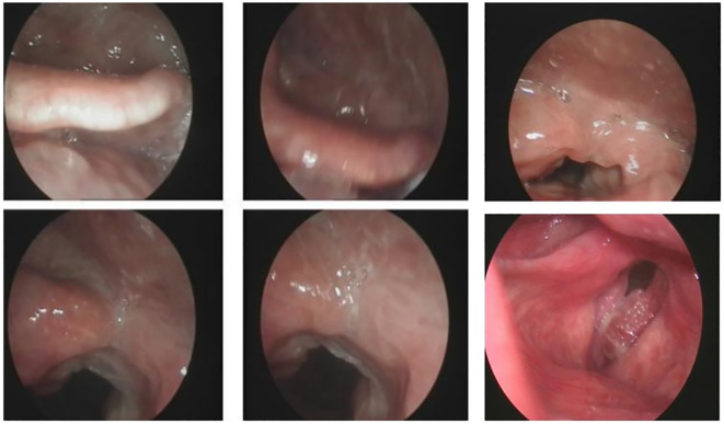 Figure 1