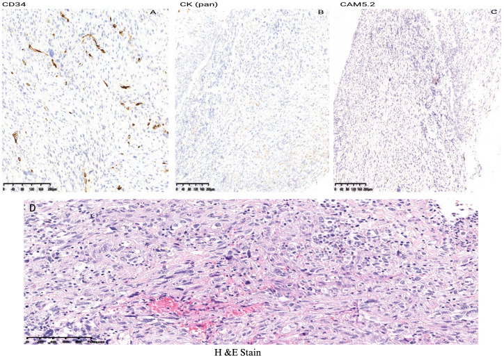 Figure 3