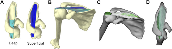 FIGURE 2