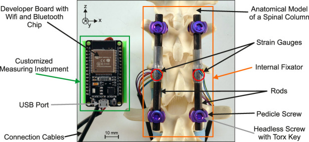 FIGURE 3