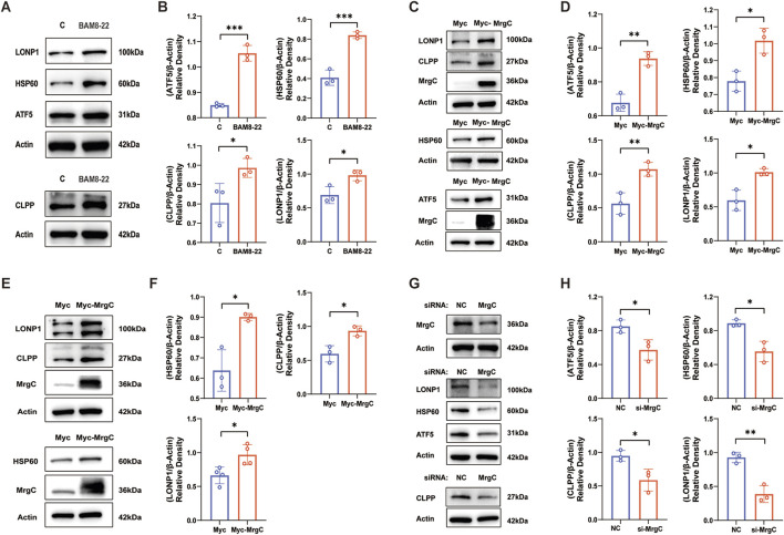 FIGURE 6