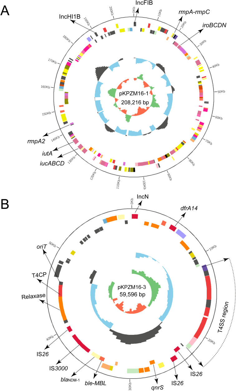 Figure 2