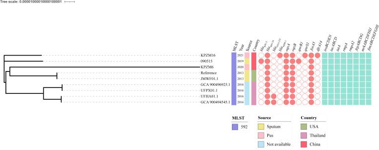 Figure 4