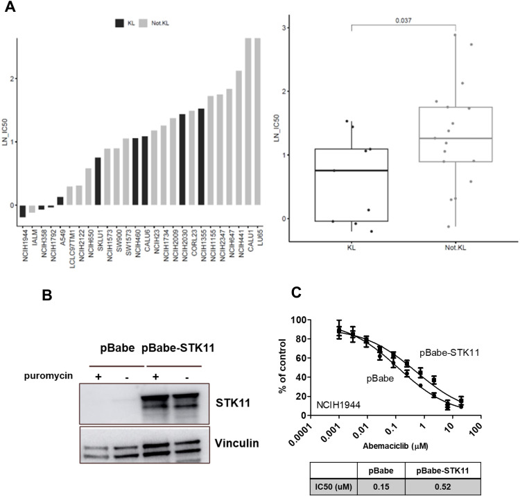 Figure 6