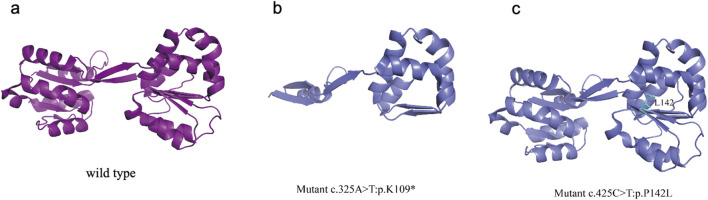 FIGURE 3