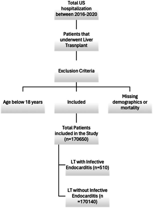 FIGURE 1