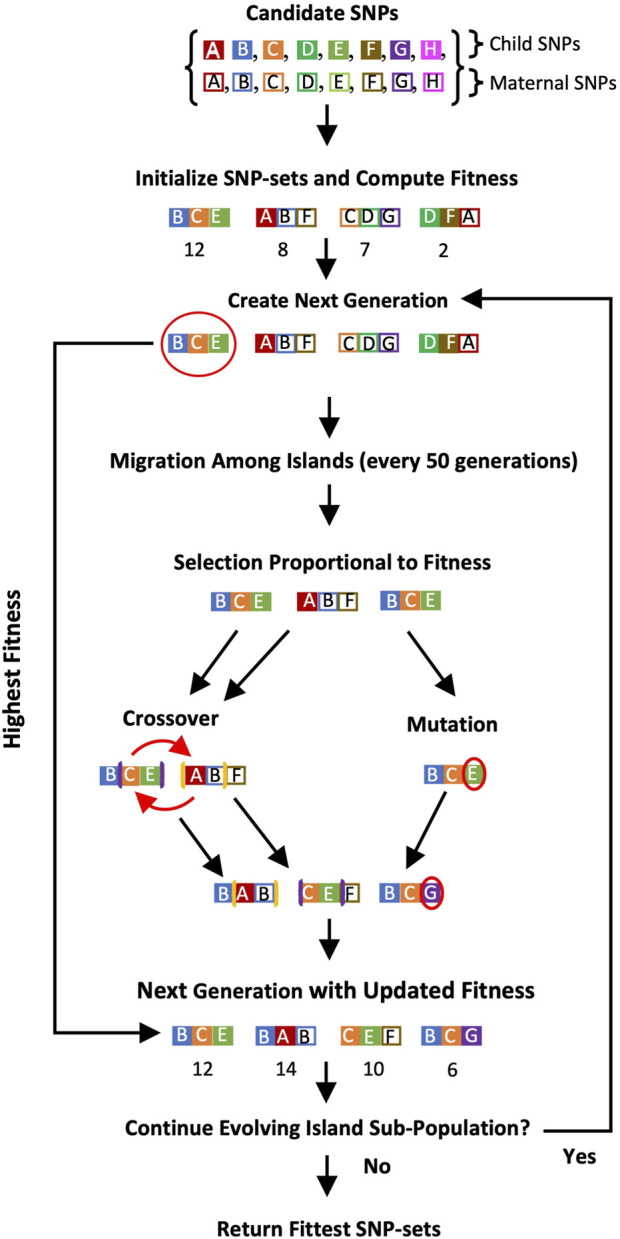 FIGURE 1