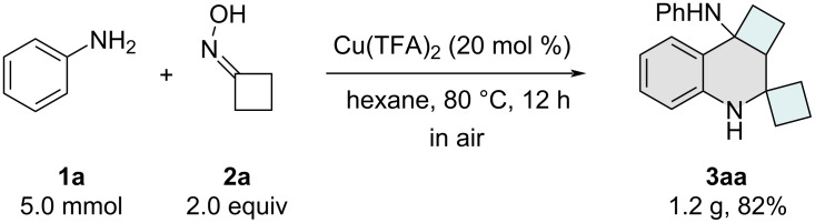 Scheme 3