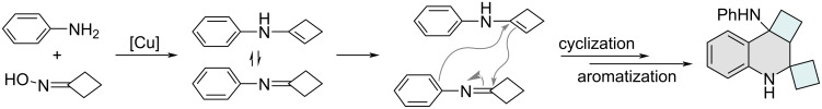 Scheme 4