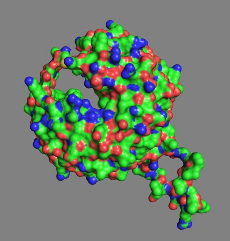 Figure 6
