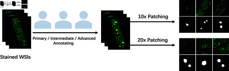Fig 3