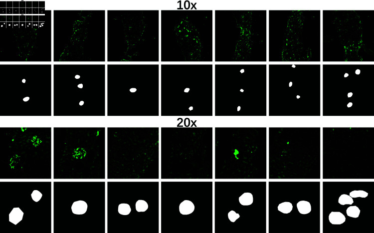 Fig 4