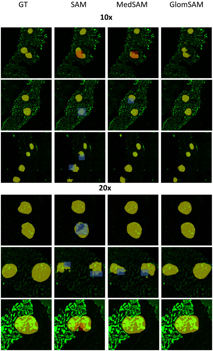 Fig 10