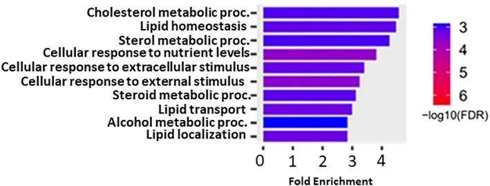 FIGURE 2