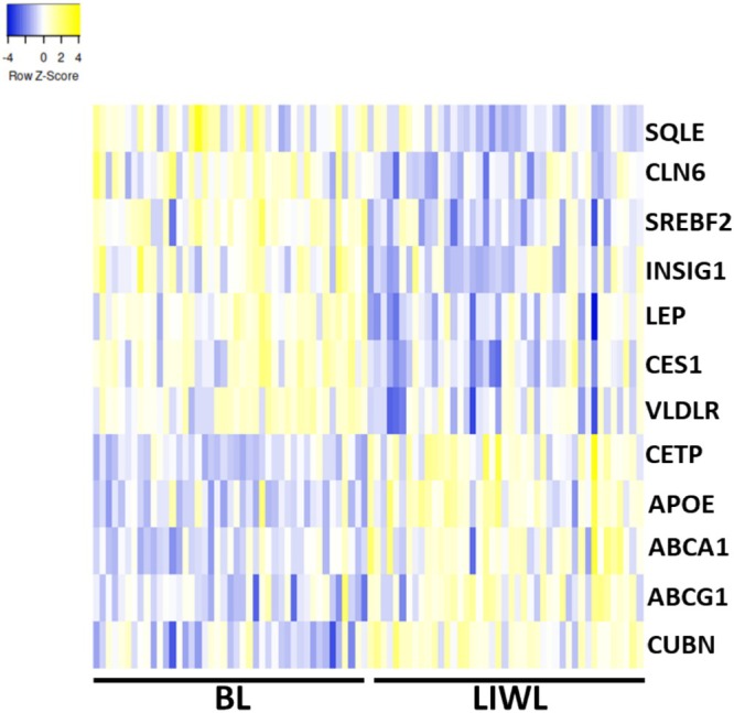 FIGURE 3