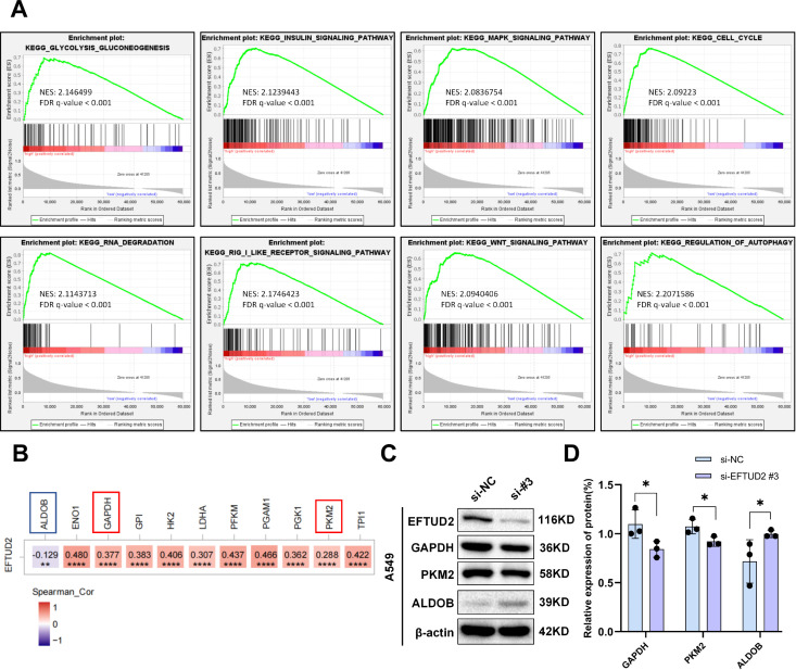 Figure 6