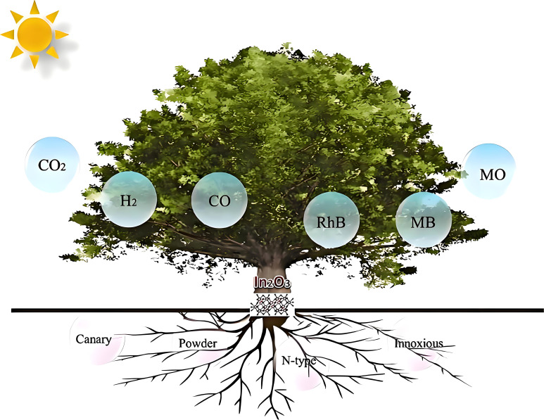 Figure 1
