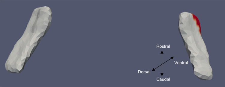 Figure 13