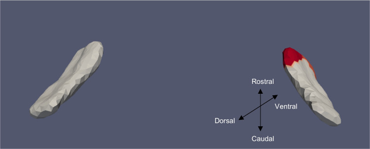Figure 8