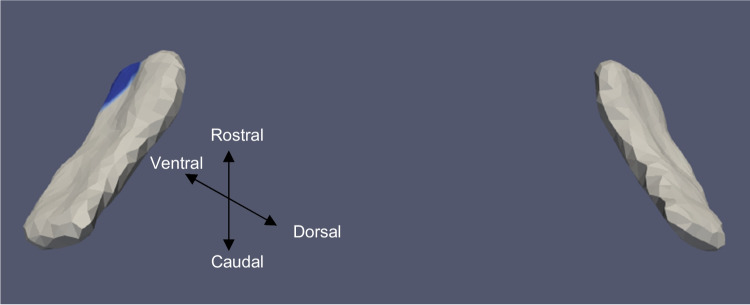 Figure 9