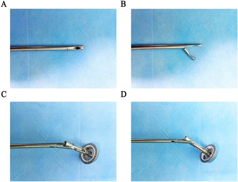 Figure 1