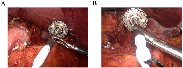 Figure 2