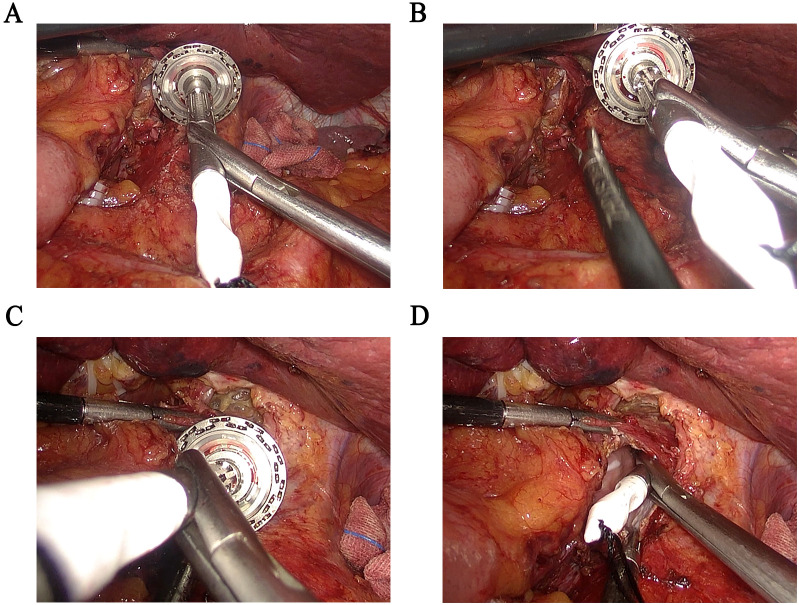Figure 3