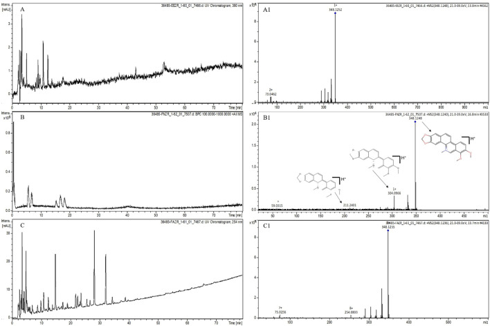 FIGURE 1