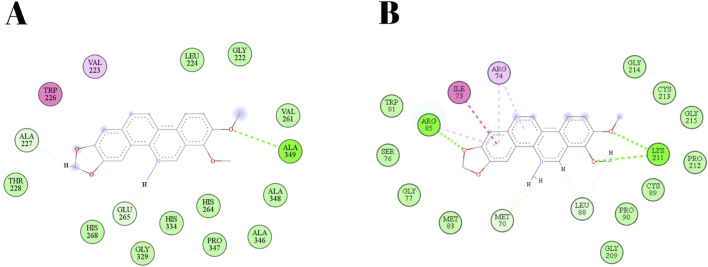 FIGURE 6