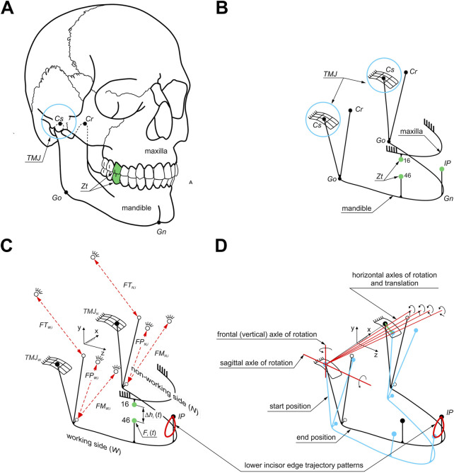 FIGURE 2
