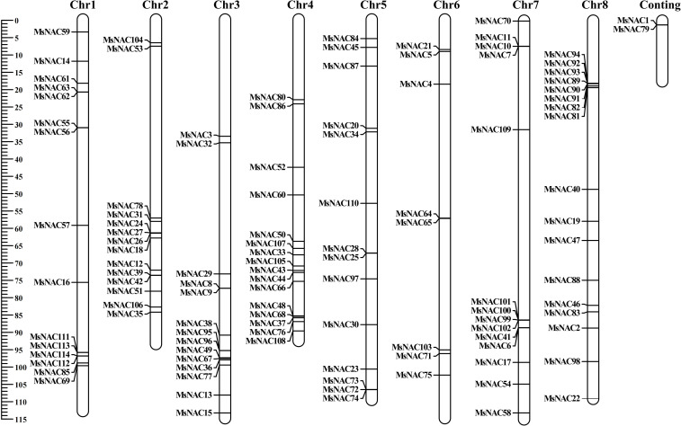 Figure 4