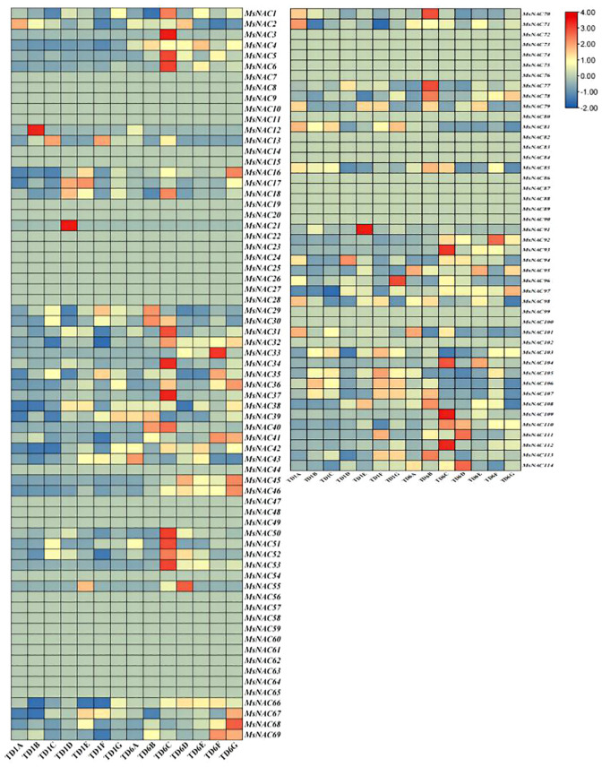 Figure 7