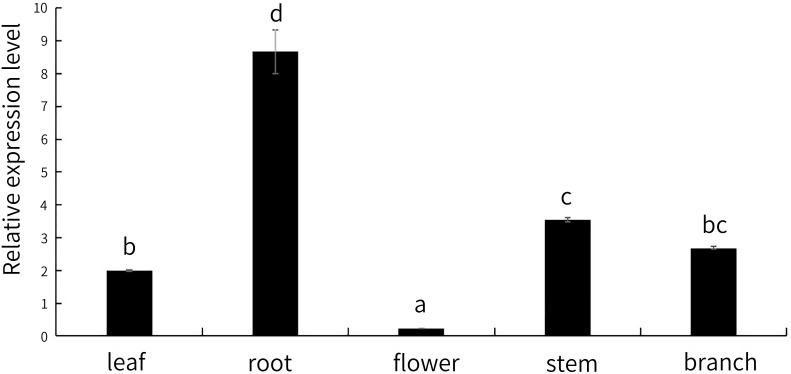 Figure 10