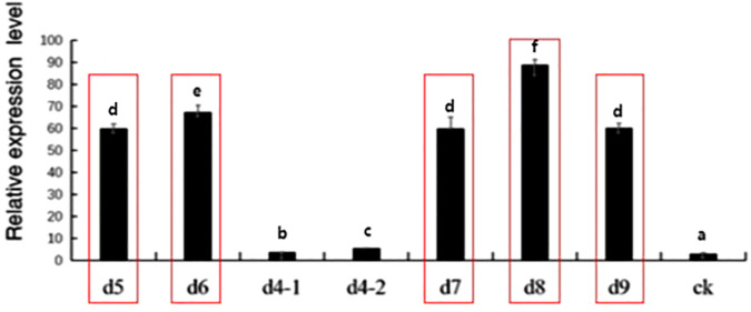 Figure 11
