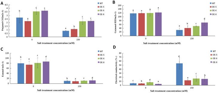 Figure 13