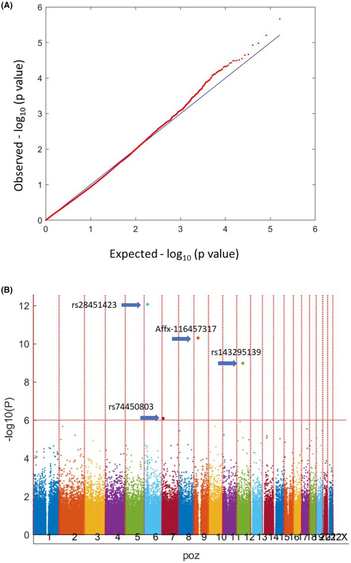 FIGURE 1