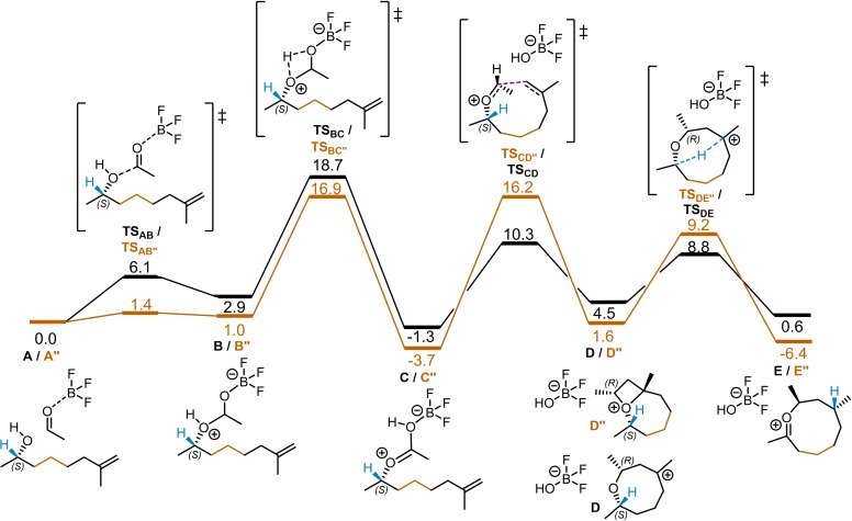 Scheme 5
