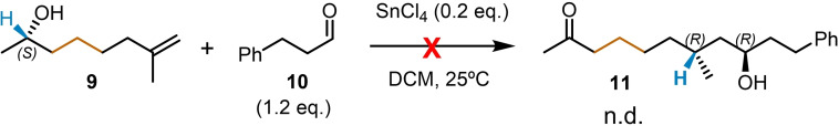 Scheme 4
