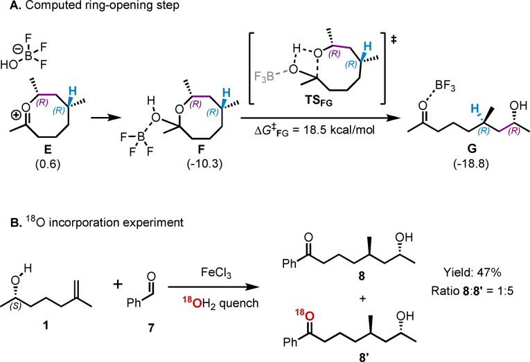 Scheme 3