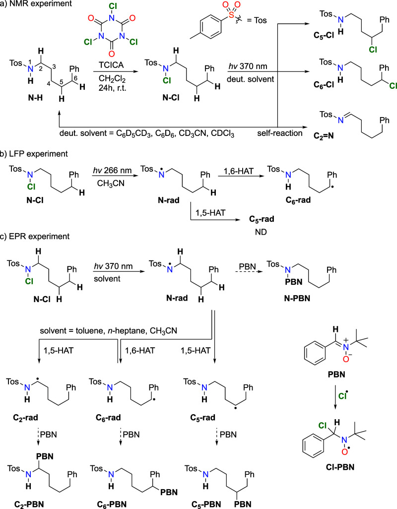 Scheme 2