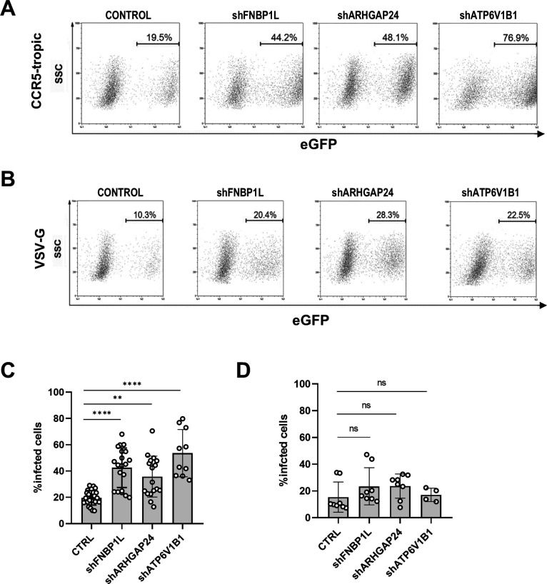 Fig 4